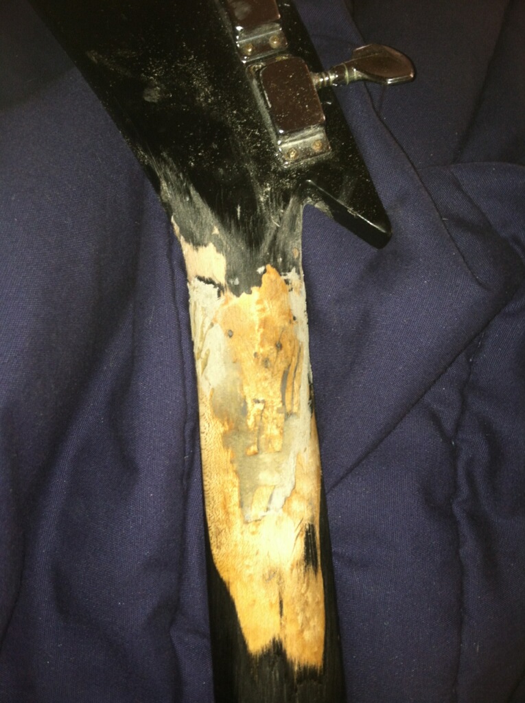 Neck2_zps6278f904.jpg