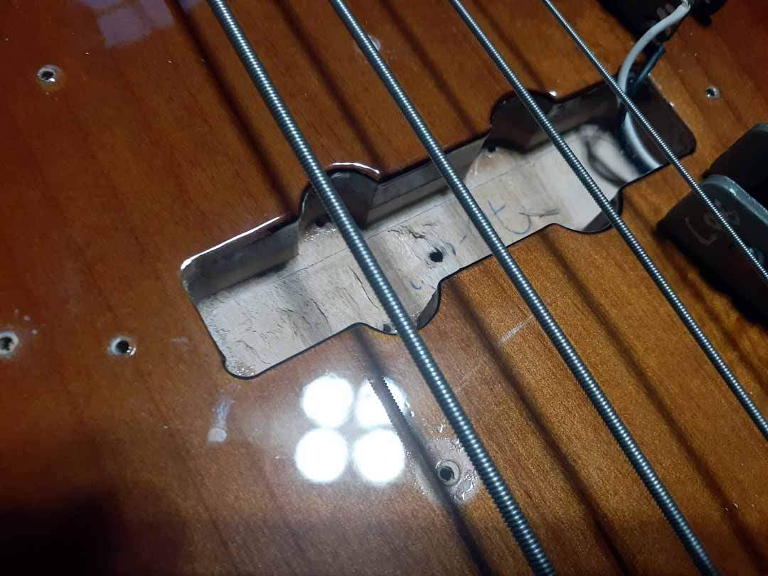 Neck_Cavity.jpg