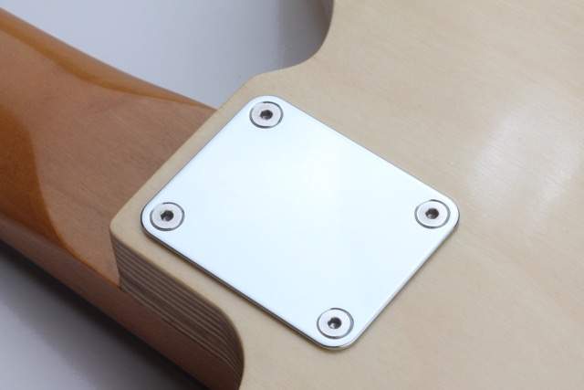 neck_screws_stainless_small.jpg