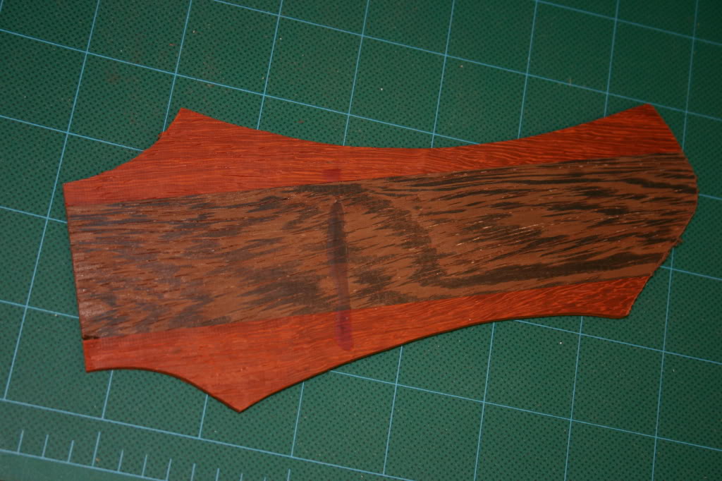 neckandpupcover005.jpg