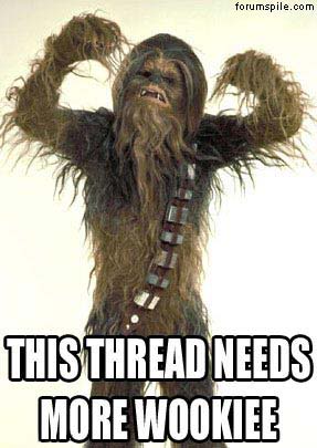 Needs-More-Wookie.jpg