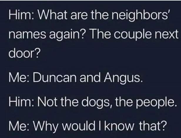neighbor dogs.jpg