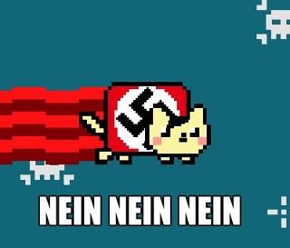 nein%2Bcat_cc366a_3633388.jpg