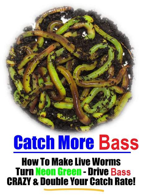 neon-green-worms.jpg