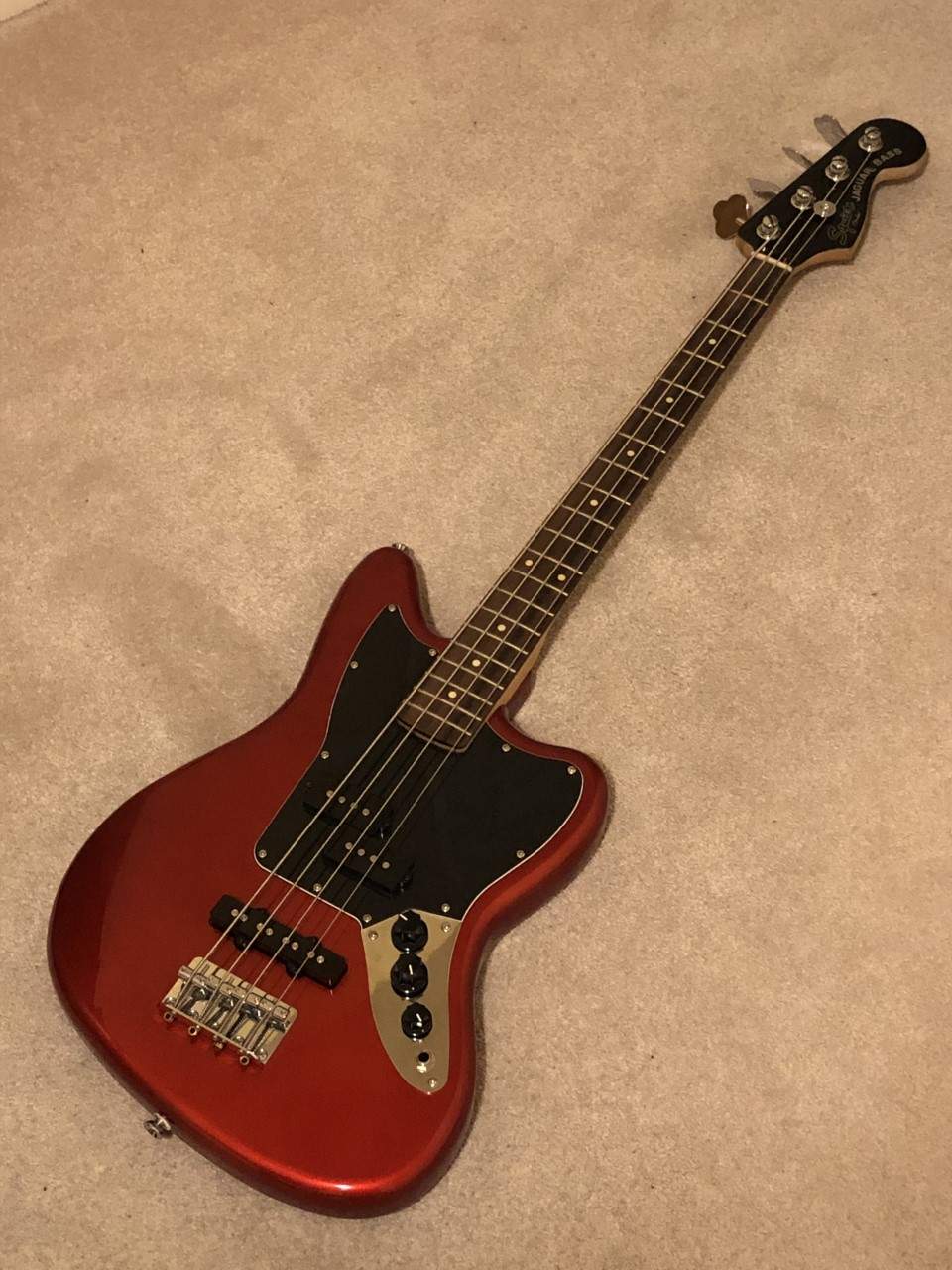 new bass.jpg