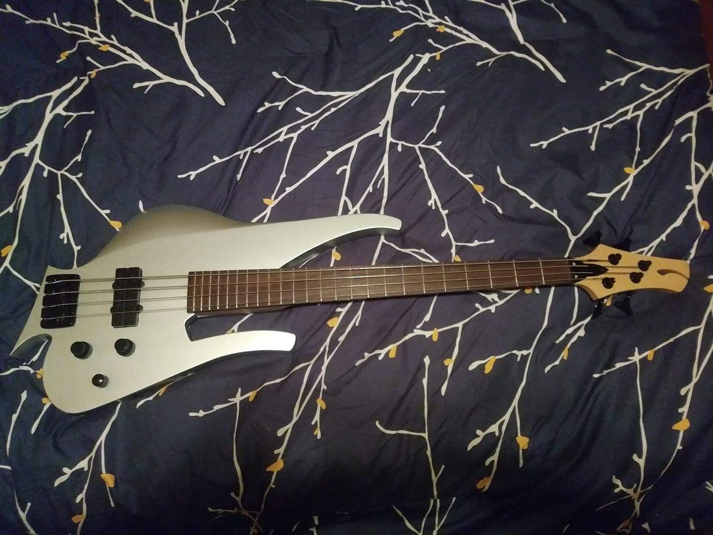 new bass.jpg