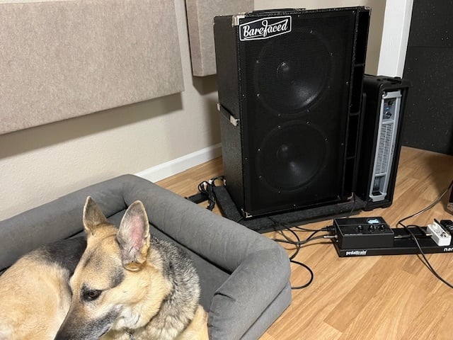 new cab and Sasha.jpg