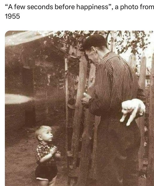 new dog.jpg