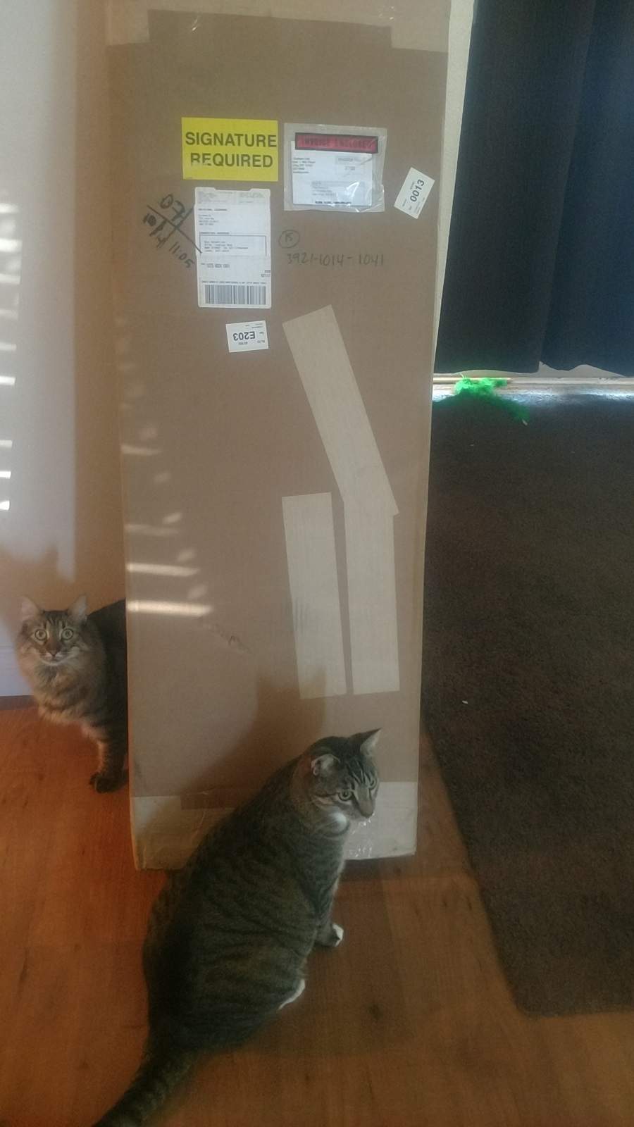 new5_24box.jpg