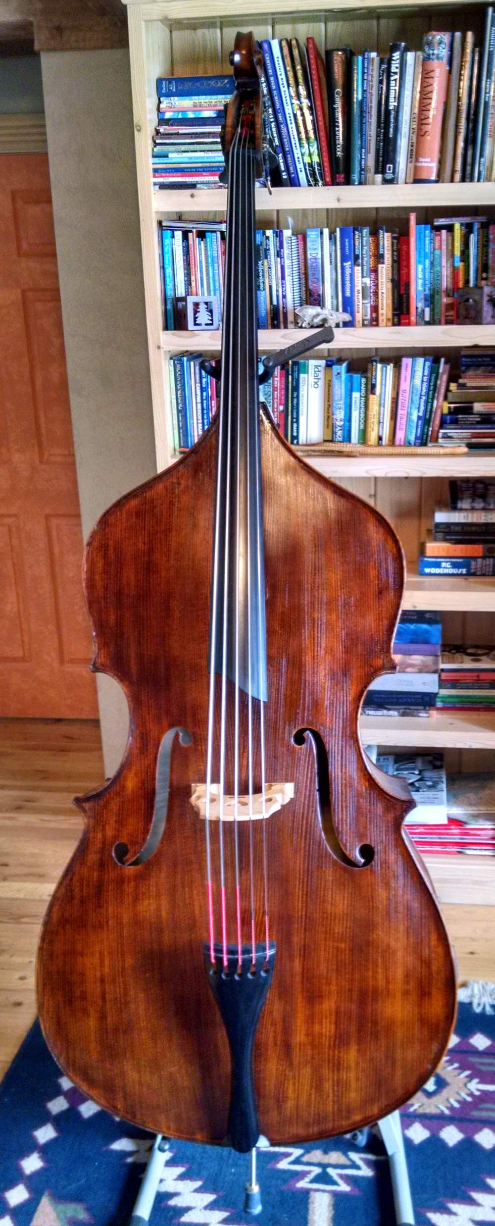 new_bass.jpg