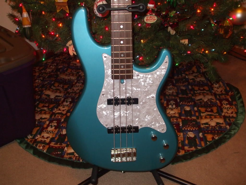 NewBass002.jpg