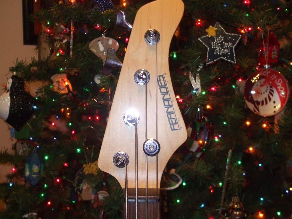 NewBass003.jpg