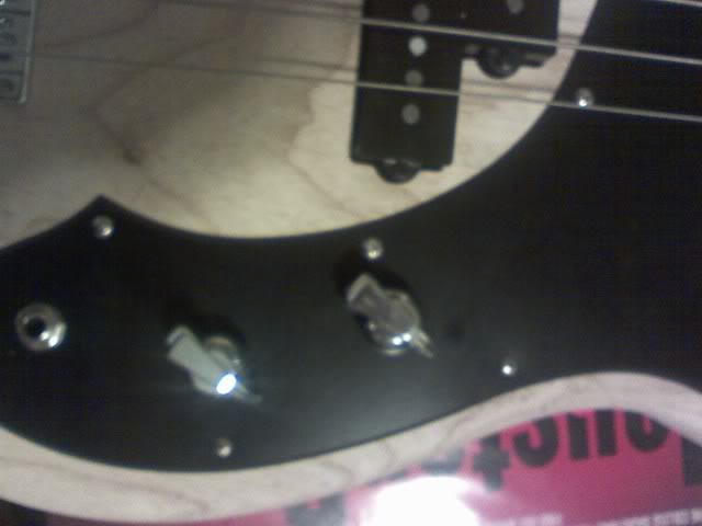 newbass2.jpg