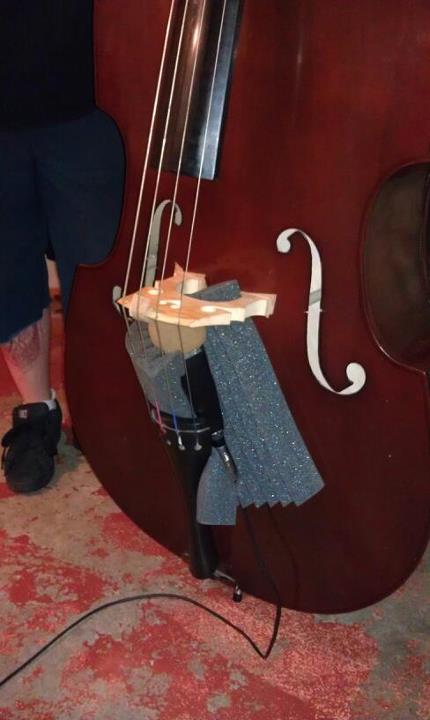 newbass2.jpg