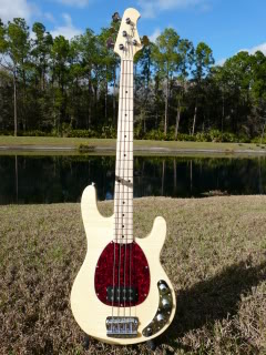 NewBasses001.jpg