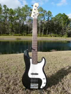 NewBasses002.jpg