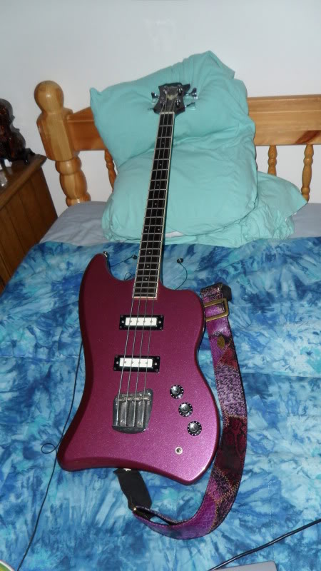 newcamera012.jpg