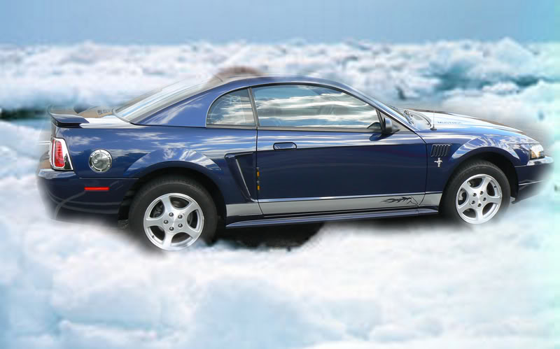 newcar5.jpg