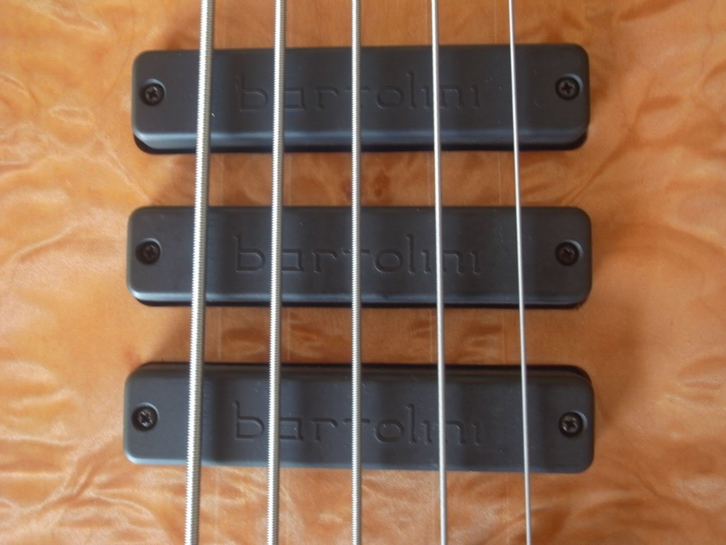 NewStambaughBass04.jpg