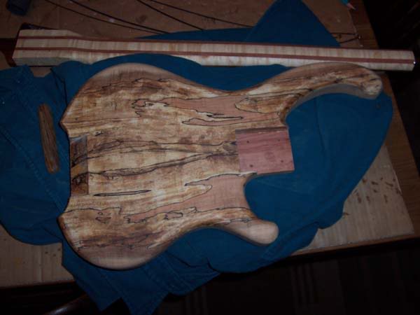 newwoods001.jpg
