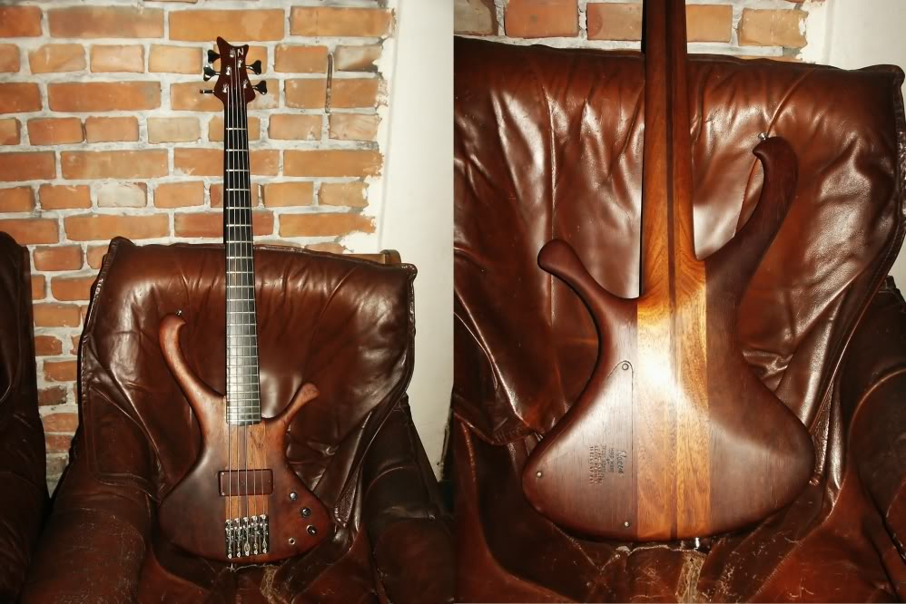 NexusShining5string1.jpg