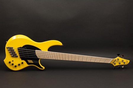 NG2-F-Yellow-full-e.jpg