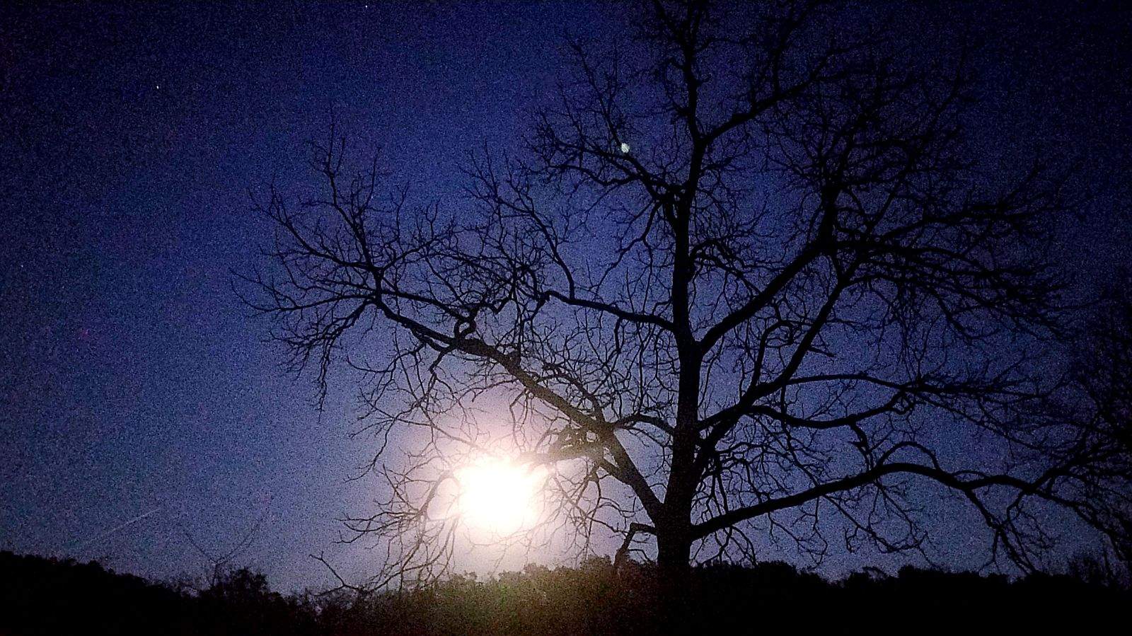 Nightfall_11-17-21.jpeg
