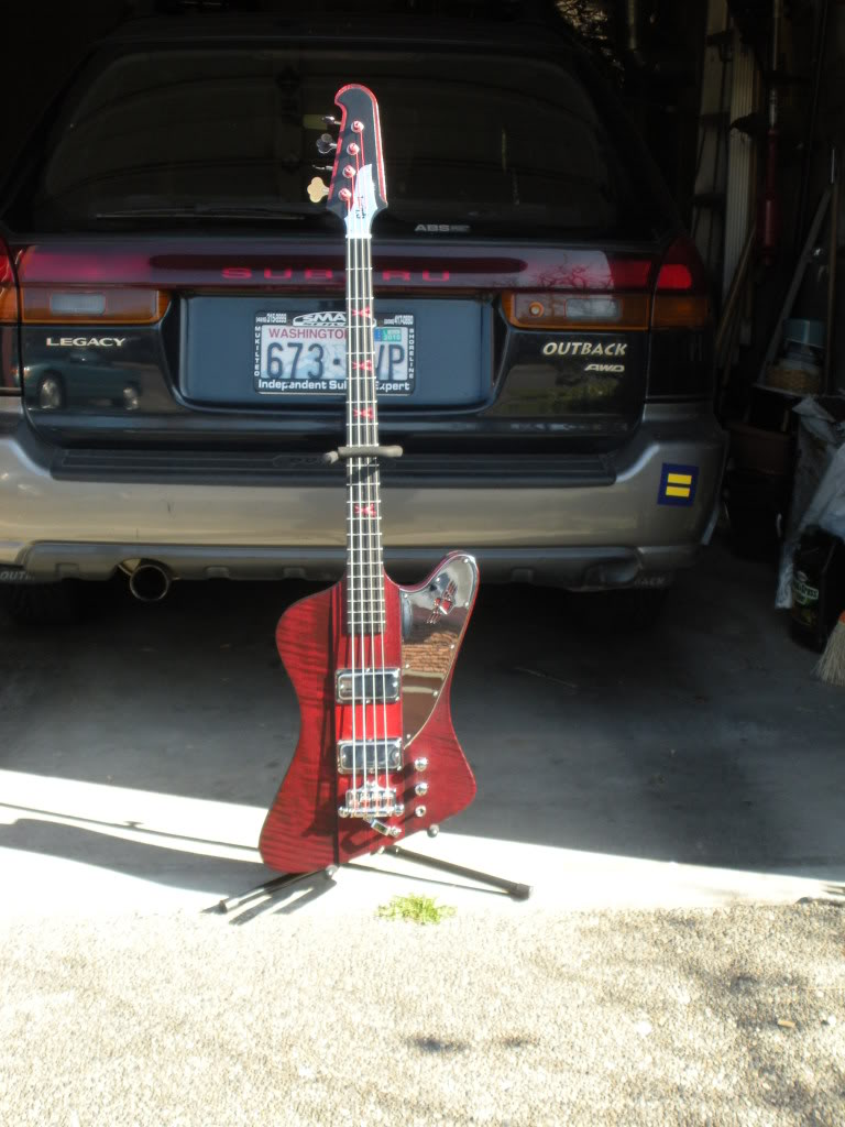 NikkiII002.jpg