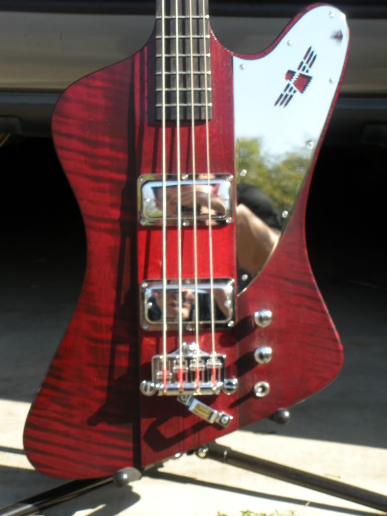 NikkiII004.jpg