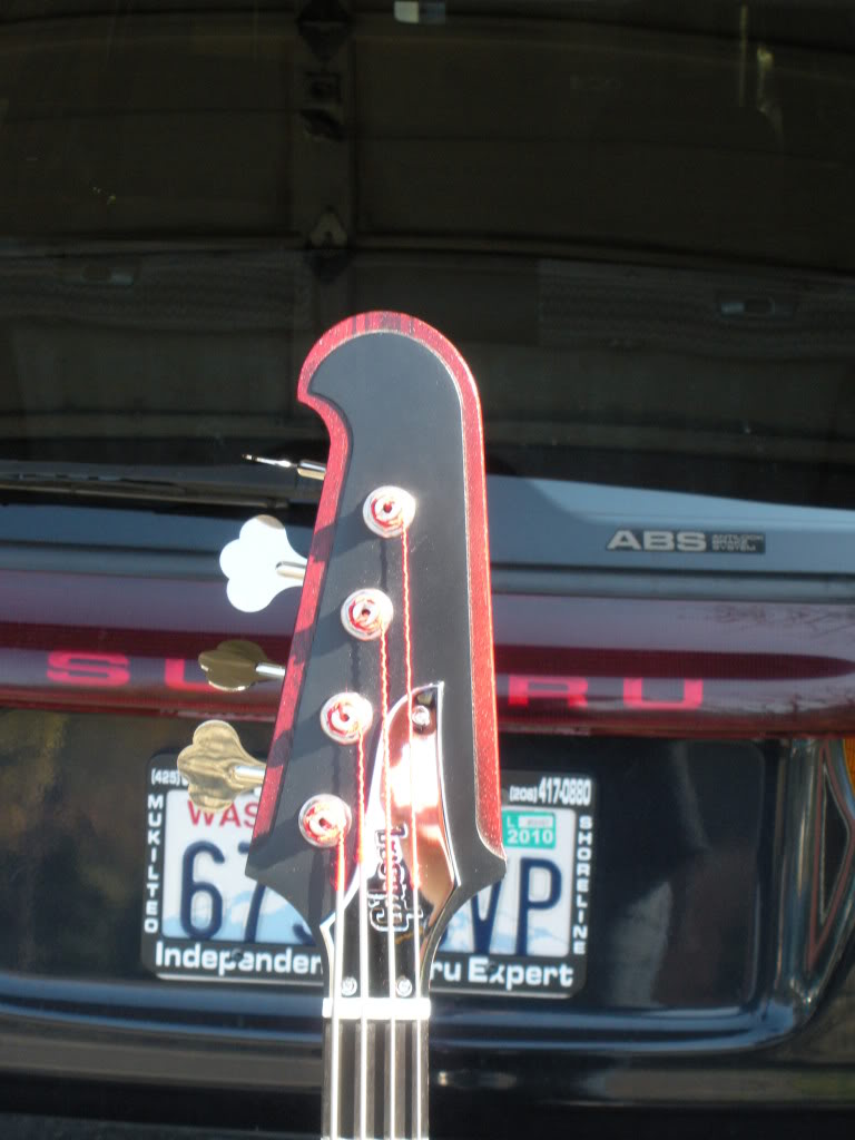 NikkiII006.jpg