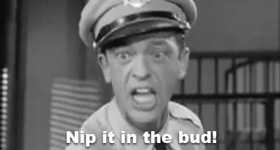 NipItInTheBudBarneyFife.gif