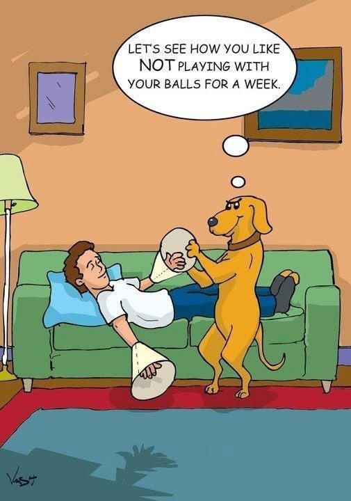 no_ball_playing_for_a_week.jpg