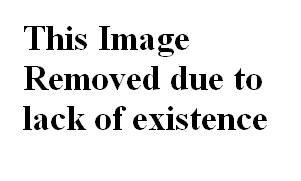 No_image.png
