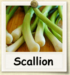 nonhybrid-scallion.gif