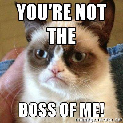 not-boss.jpg