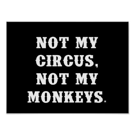 Not my Monkeys.jpg
