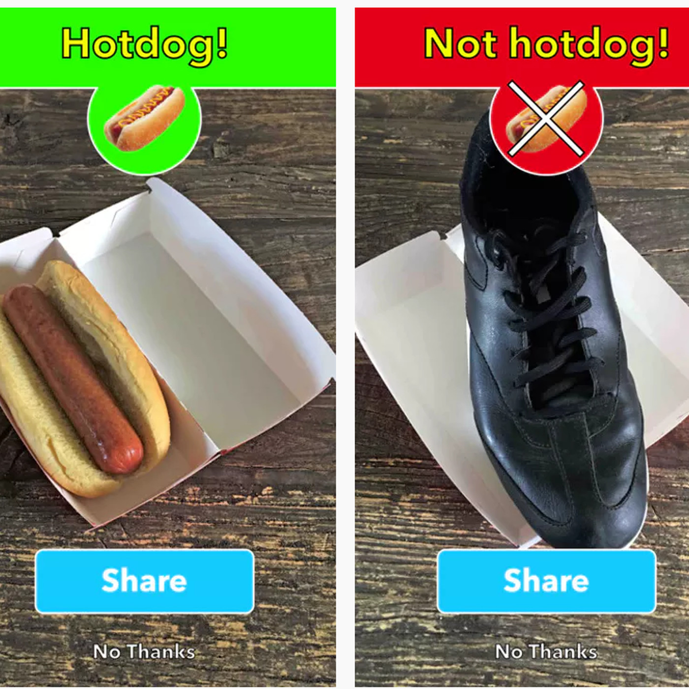 not_hot_dog_app.0.jpg