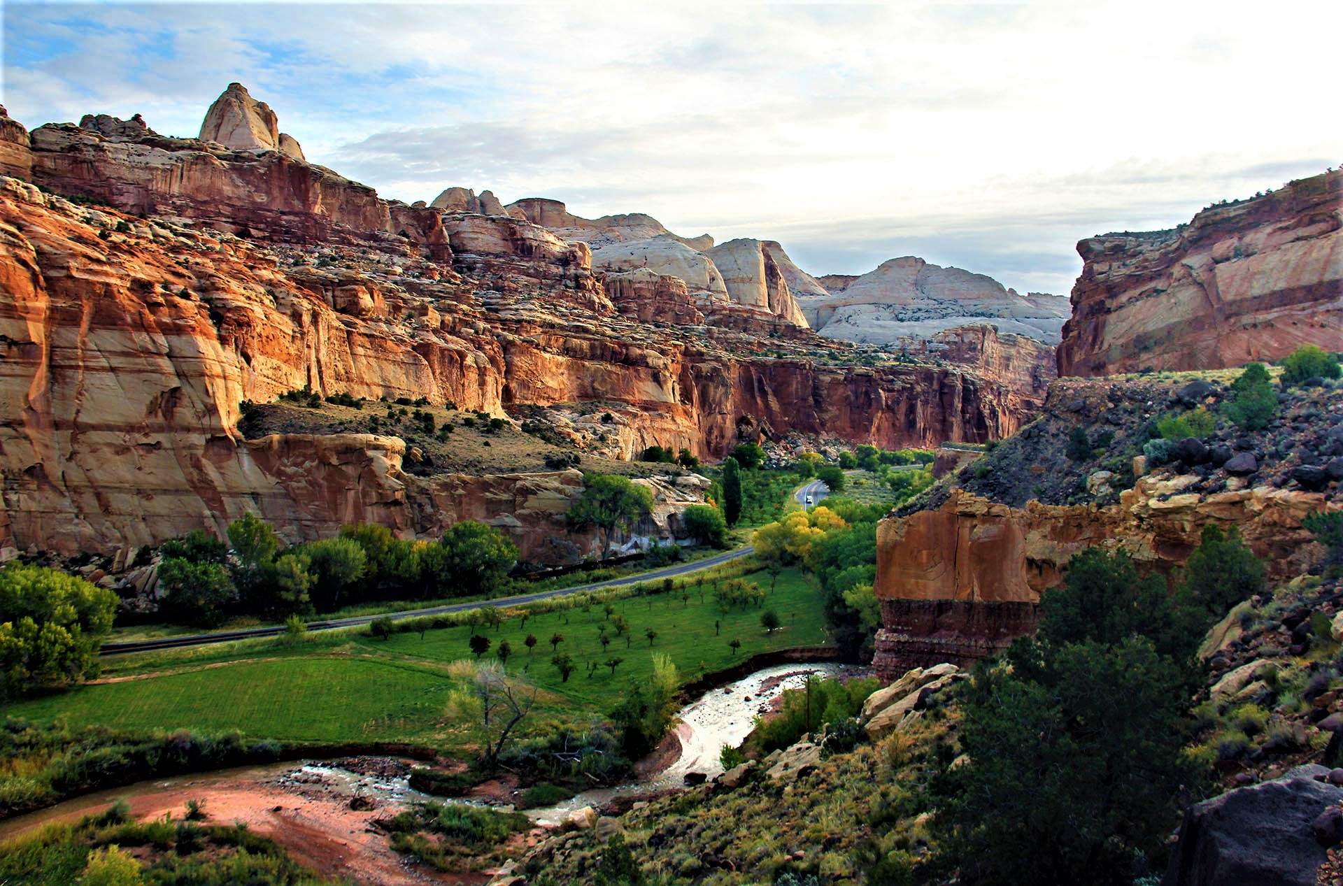 NP Capitol Reef.jpg