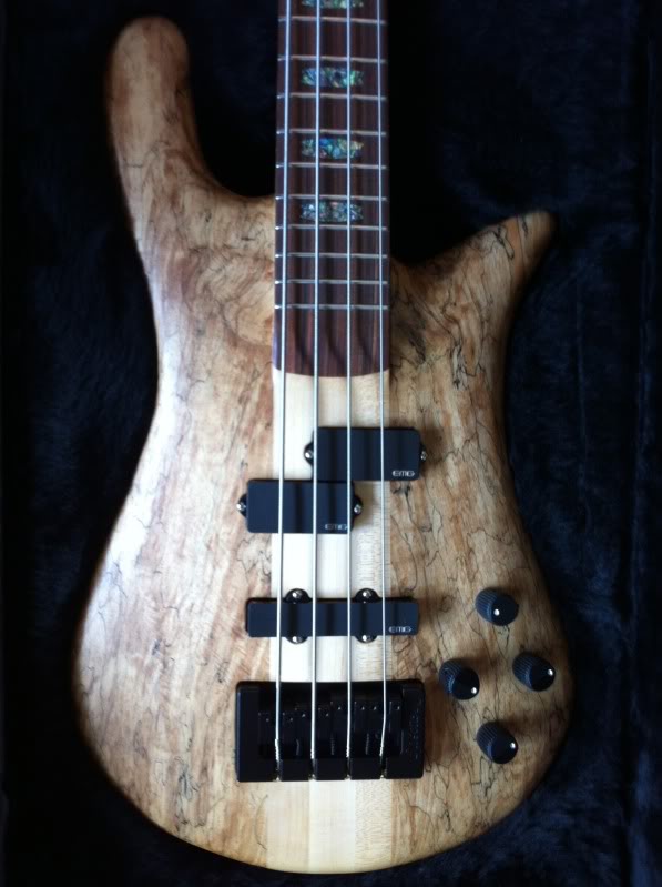 NS2-case1.jpg