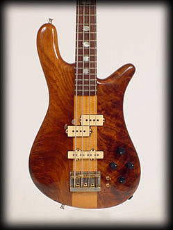 NS2B401body.jpg