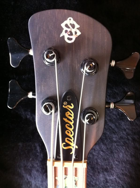 NS2headstock.jpg