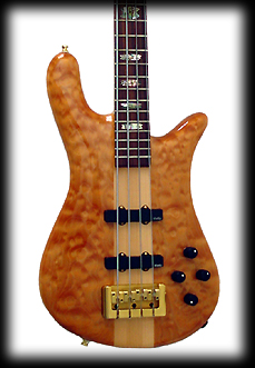 NS2JJ212FrontBody331.jpg