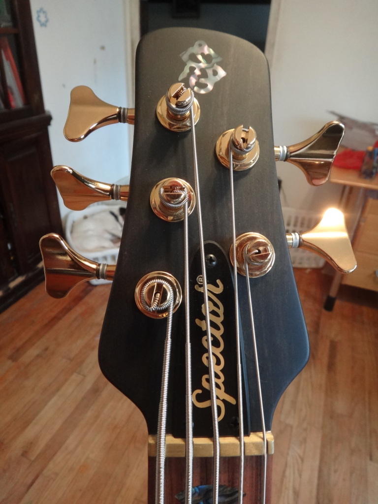 NS5-Headstock.jpg