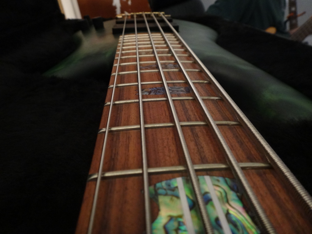 NS5-neck.jpg
