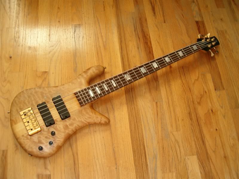 NS5_001.jpg