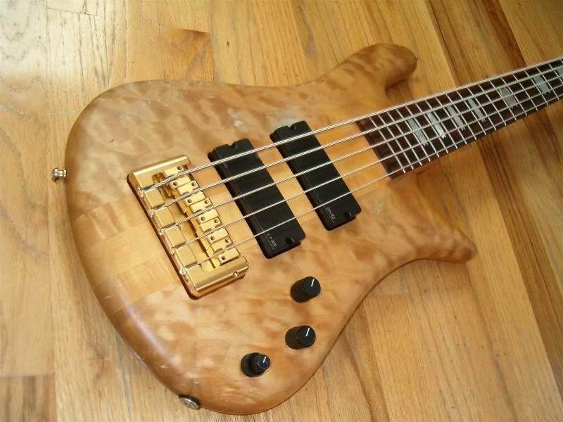 NS5_002.jpg