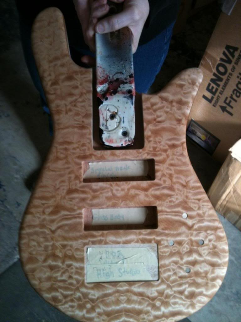 NS5H2W-Jesse-front.jpg