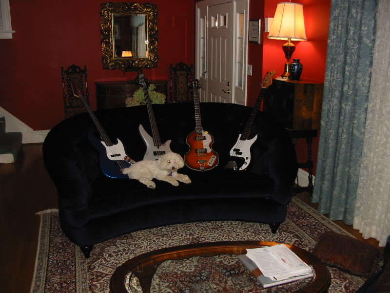 nsbasses002.jpg