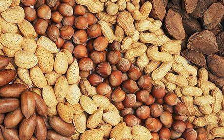 nuts.jpg