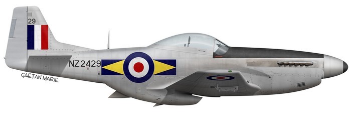 nz2429.jpg